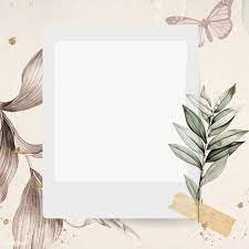 Blank Photo Frame On Nature Background Transparent Png Premium Image By Rawpixel Com Adj Bunga Cat Air Ilustrasi Pola Ide Presentasi