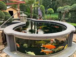 Pin Oleh Japanese Koi Gardening Di Koi Fish Kolam Halaman Belakang Taman Air Taman Indah