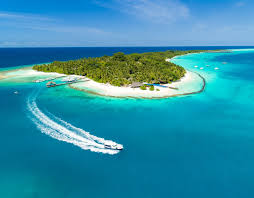 Scots Husband S Tribute To Tragic Wife After Sudden Death On Dream Maldives Trip A list of over 100000 free internet radio stations, broadcasting in mp3, aac+, and ogg formats. tragic wife after sudden death