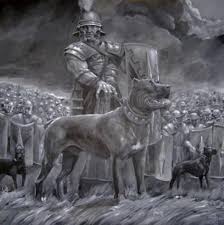 A Roman Garrisons Is Also Believed To Have Discovered The Alaunt Dogs And Brought Them Back To Rome From The Roman S This Breed Cane Corso Cani Razze Di Cani