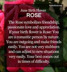 Birth Month Flower June Rose June Birth Flower June Flower Birth Month Quotes
