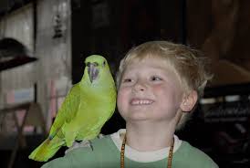 Soundings ...: An Amazon in Pelican … Rose's Bar and Grill, an Alaskan  Institution