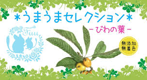 楽天市場 うまうまセレクション はっぱミックス 無添加 無着色 国産 乾燥野菜 キャベツ 小松菜 小動物用 おやつ うさぎ チンチラ モルモット デグー ハムスター Shop Fuu