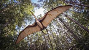 We did not find results for: Are Pterodactyls Dinosaurs Learn More About These Prehistoric Predators