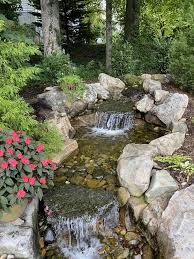 Image result for garden pond ideas