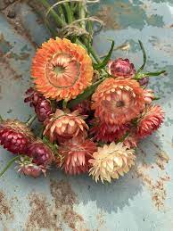 Pin On Nature