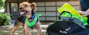 Our pet insurance comparison pits providers head to head, with charts that compare deductibles to sustain this free service, we receive affiliate commissions via some of our links. Prepare Your Pets For Disasters Ready Gov