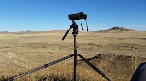 Leupold bx 4 pro guide hd 10x42. Leupold Bx4 Pro Guide Hd Rokslide Forum
