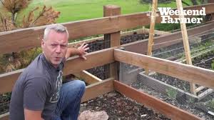 Maybe you would like to learn more about one of these? Can Rabbits Eat Zucchini What You Need To Know