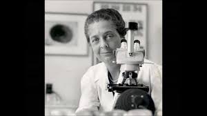 She established the nature of radiation and beta rays. Famous Female Scientists 14 Greatest Female Scientists In History Youtube