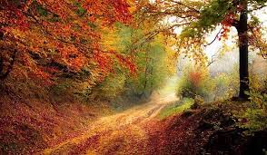 Our list of the best nature pictures & images full hd, their amazing nature pictures and images latest collection. 600 000 Best Nature Pictures Images In Hd