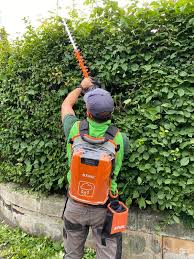 Best Edinburgh Gardener Eco Friendly Ethos Jds Gardening