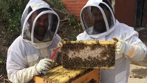 Pin On Bees Issue And Inspiration