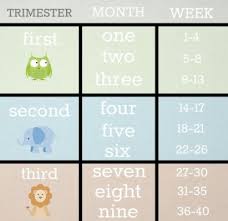 Week 21 through week 24. How Many Months Would I Be If 22 Weeks June 2016 Babycenter Canada