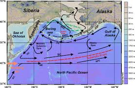 It is also known as the pacific trash vortex. Overview Of Ocean Circulation Black Arrows In The North Pacific Ocean Download Scientific Diagram