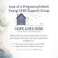 Loss of a Pregnancy/Infant/Child Support Meeting
