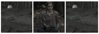 hermione granger smut on Tumblr