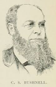Cornelius Scranton Bushnell (1828-1896)