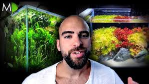 Aquascape Tips