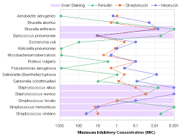 Antibiotic Effectiveness A Study Of Chart Types Peltier