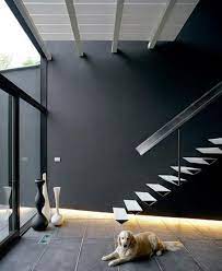 Interior Design Dog Images Google Images Black Accent Walls Black Walls Dream House Rooms