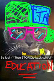 17 Types Of Friends You Have On Snapchat Snap Cat Cat Lady Cats