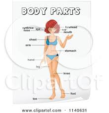 Nape, head, neck, shoulder blade, arm, elbow, back, waist, trunk, loin, hip, forearm, wrist, hand … Woman In A Bikini With Labeled Body Parts Posters Art Prints By Interior Wall Decor 1140631