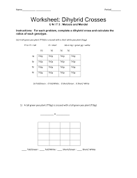 Worksheets are dihybrid cross name monohybrid practice problems show punnett square give practice with monohybrid punnett squares punnett. Dihybrid Cross Worksheet Answers Promotiontablecovers