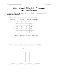 It supports up to different 4 genes traits and displays both genotype and phenotype results as well as probabilites for each of them and their combination. Dihybrid Cross Brief Introduction Examples Worksheets