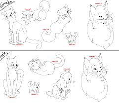 Enfant 44 french dvdrip 2015. Lineart Set1 Cats By Tiggercat12 On Deviantart