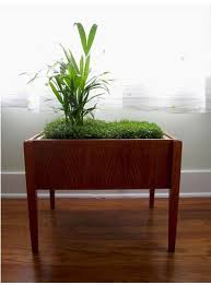 Flickr Finds Indoor Planter Indoor Planters Indoor Plants Indoor Garden