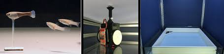Schwinn 130 versus schwinn 170 . Https Www Mi Fu Berlin De Inf Groups Ag Ki Publications Socially Competent Robots Socially Competent Robots Pdf
