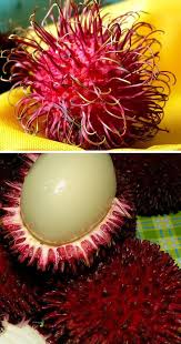 Pin Em Fruits
