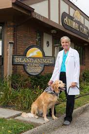 If you aren't sure if it's an emergency, call us anyway and we can advise. Island Animal Clinic Home Facebook