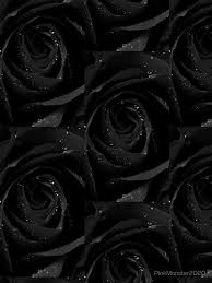 Black Rose Flower Sticker Case Iphone 11 Soft By Pinkmonster2020 In 2020 Black Rose Flower Black Rose Girl Iphone Wallpaper