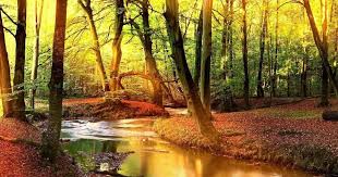 Anime Wallpapers 5760x1080 Wald Feel free to send us your own wallpaper and we will. anime wallpapers 5760x1080 wald