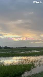 Jadence doll (@jadence.doll)