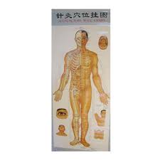 Acupuncture Points Wall Charts Diagrams Set Of 3 Charts