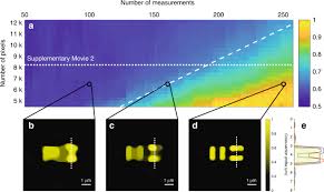 Formula and calculation for resolution factor, tailing factor, theoretical plates and capacity factor in hplc analysis of spams/ promotional links are not allowed and shall be deleted upon review. Endo Microscopy Beyond The Abbe And Nyquist Limits Light Science Applications