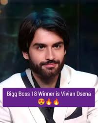 Vivian Dsena's Performance in Bigg Boss