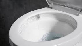 Toilet Flushing Performance - Toilet Flushing Technology | KOHLER