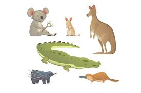 Cartoon Australian Animals Australian Animals Animal Illustration Animals