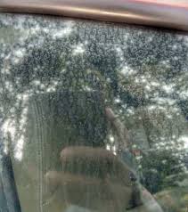 Maybe you would like to learn more about one of these? Cara Hilang Watermark Kereta Home Facebook