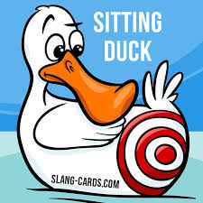 Sitting Duck Means An Easy Target Example The Tourists Were Sitting Ducks For Local Thieves English Idioms English Phrases Learn English