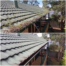 Grass And Weeds Should Grow On The Ground Not The Roof A Great Before And After Snap From Gutter Vac Brisbane South East Of A Gutter Vac Cleaning Gutters Vac