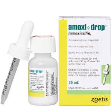Compare prices and print coupons for amoxicillin (generic amoxil) and other skin infection, ear infection, urinary tract infection, bacterial infection it is available in generic and brand versions. Amoxicillin Drops Price Online Visa
