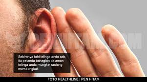 We did not find results for: Tahap Kesihatan Boleh Dikenal Pasti Melalui Warna Tahi Telinga Jom Check