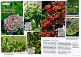 Elle est plus communément appelée ludwigie glanduleuse. La Presse En Parle Le Jardin Des Curieux