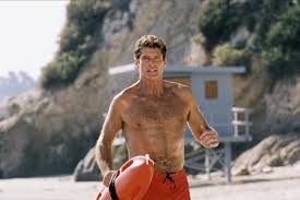 Дуэйн джонсон, зак эфрон, приянка чопра и др. Hasselhoff Vernetsya V Spasateli Malibu Vertigo Com Ua