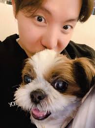 A pet dog named jjanggu, unfortunately jjanggu passed away last year after 12 years. Get To Know The Extra Members Of Bts All Their Adorable Dogs Film Daily